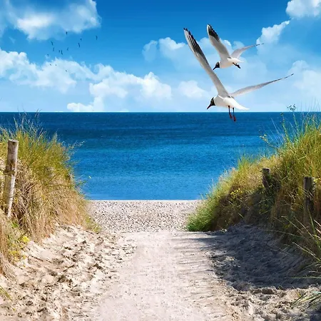 Strandvilla Mit 4 Schlafzimmern